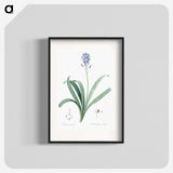 2-50_The-Lilies_blk