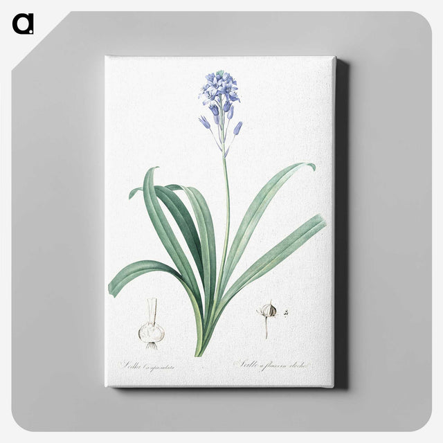 2-50_The-Lilies_canvas