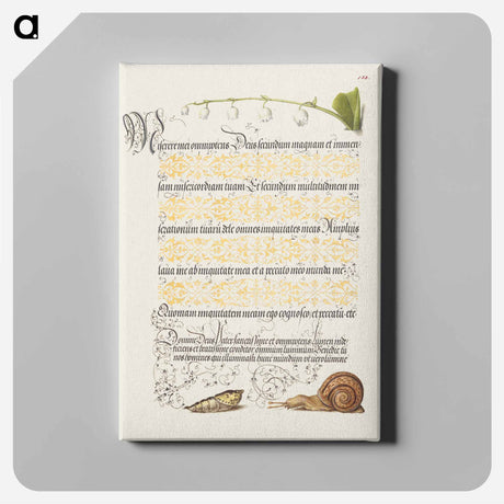 アートパネル-Lily of the Valley, Pupa, and Land Snail from Mira Calligraphiae Monumenta or The Model Book of Calligraphy
 - 書道のお手本 Canvas.