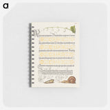 アートメモ帳-Lily of the Valley, Pupa, and Land Snail from Mira Calligraphiae Monumenta or The Model Book of Calligraphy
 - 書道のお手本 Memo.