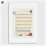 アートポスター-Lily of the Valley, Pupa, and Land Snail from Mira Calligraphiae Monumenta or The Model Book of Calligraphy
 - 書道のお手本 Poster.