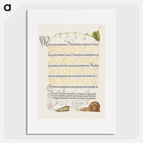 アートポスター-Lily of the Valley, Pupa, and Land Snail from Mira Calligraphiae Monumenta or The Model Book of Calligraphy
 - 書道のお手本 Poster.
