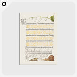 アートポストカード-Lily of the Valley, Pupa, and Land Snail from Mira Calligraphiae Monumenta or The Model Book of Calligraphy
 - 書道のお手本 Postcard.