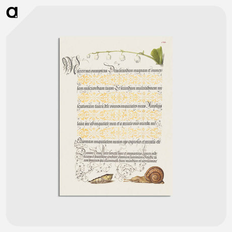 アートポストカード-Lily of the Valley, Pupa, and Land Snail from Mira Calligraphiae Monumenta or The Model Book of Calligraphy
 - 書道のお手本 Postcard.