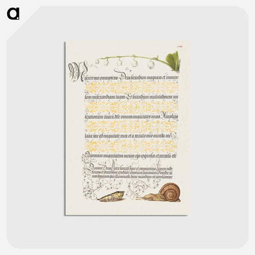 Lily of the Valley, Pupa, and Land Snail from Mira Calligraphiae Monumenta or The Model Book of Calligraphy
 - 書道のお手本 Postcard.