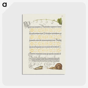 2-50_The-Model-Book-of-Calligraphy_postcard