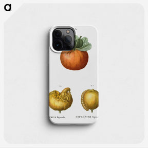 2-50_Treatise-on-Trees-and-Shrubs_phone