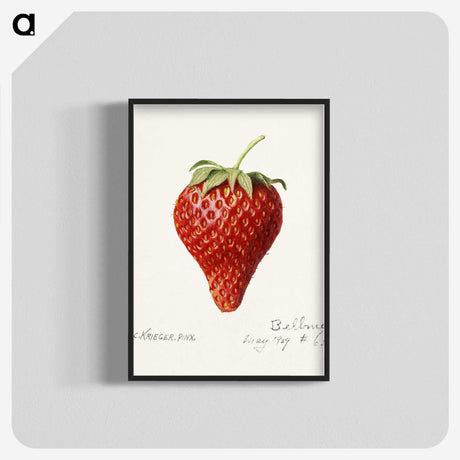 2-50_USDA-Watercolor-Fruit-Painting-Collection_blk-crop