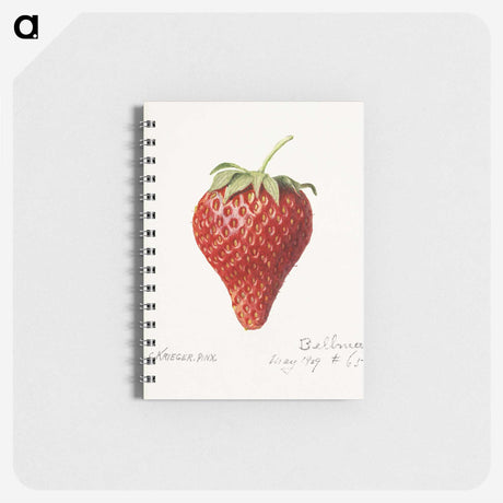 2-50_USDA-Watercolor-Fruit-Painting-Collection_memo