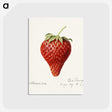 2-50_USDA-Watercolor-Fruit-Painting-Collection_postcard