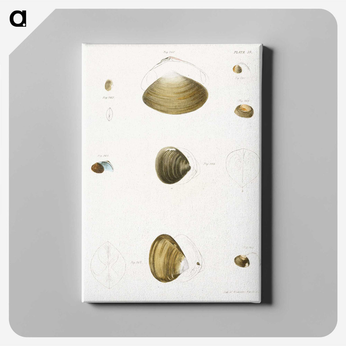 2-50_Zoology-of-New-York_canvas