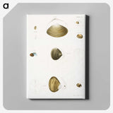 2-50_Zoology-of-New-York_canvas