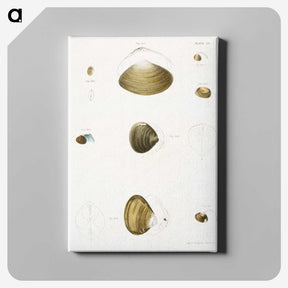 2-50_Zoology-of-New-York_canvas