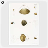 2-50_Zoology-of-New-York_picture-crop