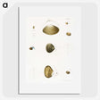 2-50_Zoology-of-New-York_picture