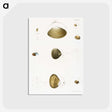2-50_Zoology-of-New-York_postcard