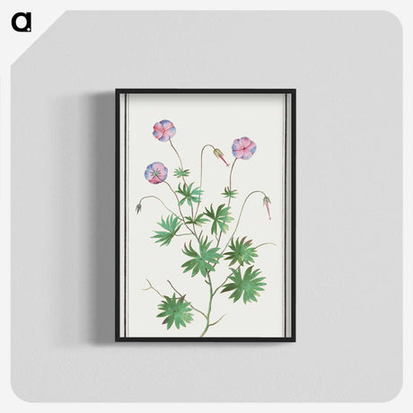 2-51_Anselmus-Boetius-de-Boodt_blk-crop