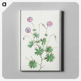 2-51_Anselmus-Boetius-de-Boodt_canvas