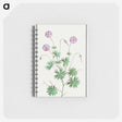 2-51_Anselmus-Boetius-de-Boodt_memo