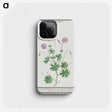 2-51_Anselmus-Boetius-de-Boodt_phone