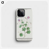 2-51_Anselmus-Boetius-de-Boodt_phone