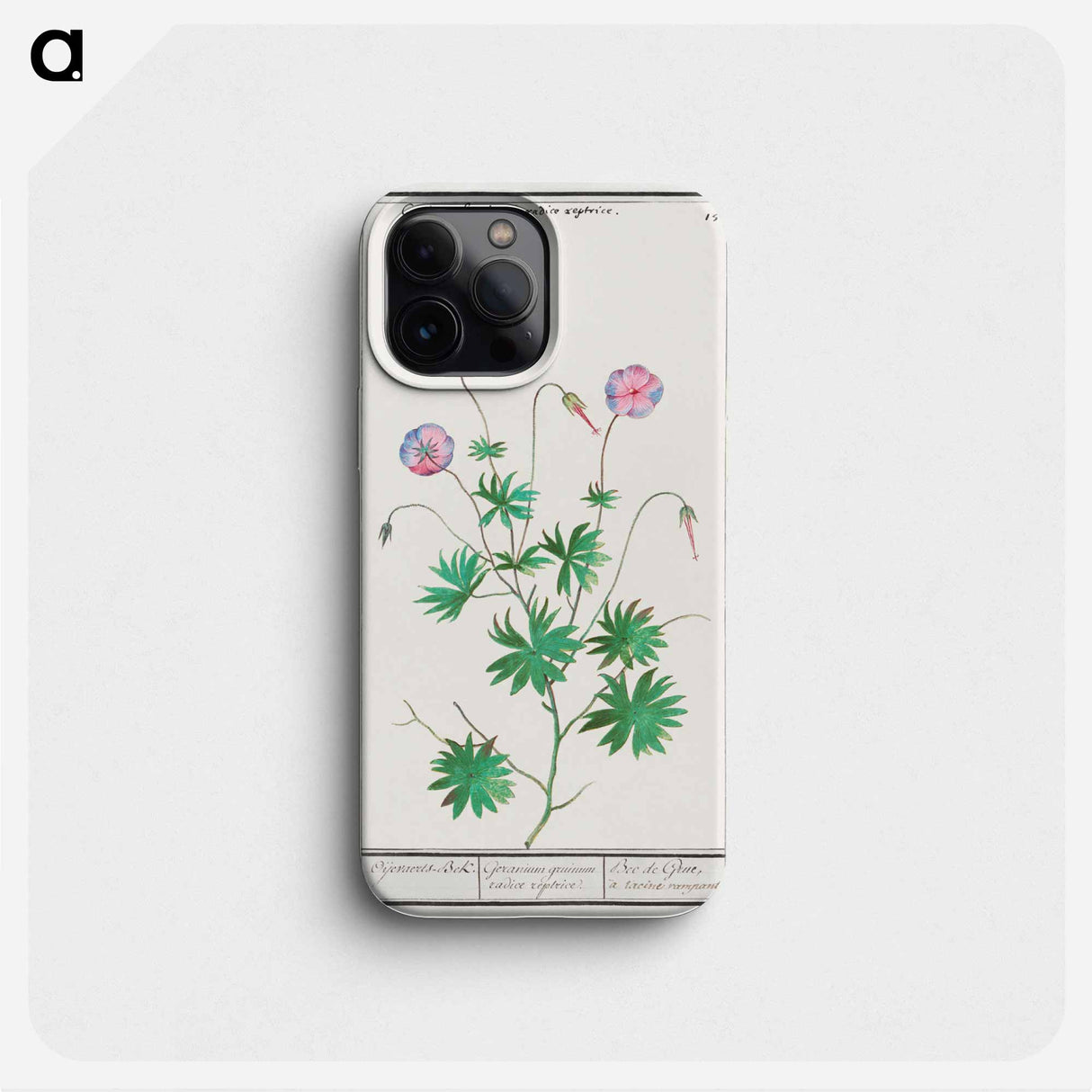 Pelargonium, Geranium - アンセルムス ボエティウス デ ブート Phone Case.