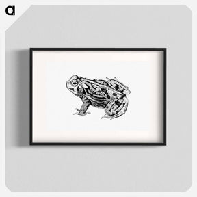 アートポスター-Great Plains Toad
 - 大英図書館 Poster.