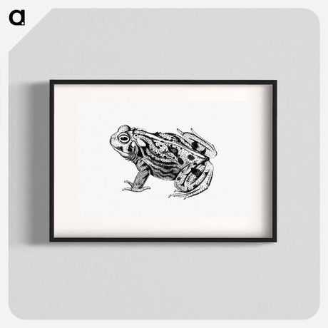アートポスター-Great Plains Toad
 - 大英図書館 Poster.
