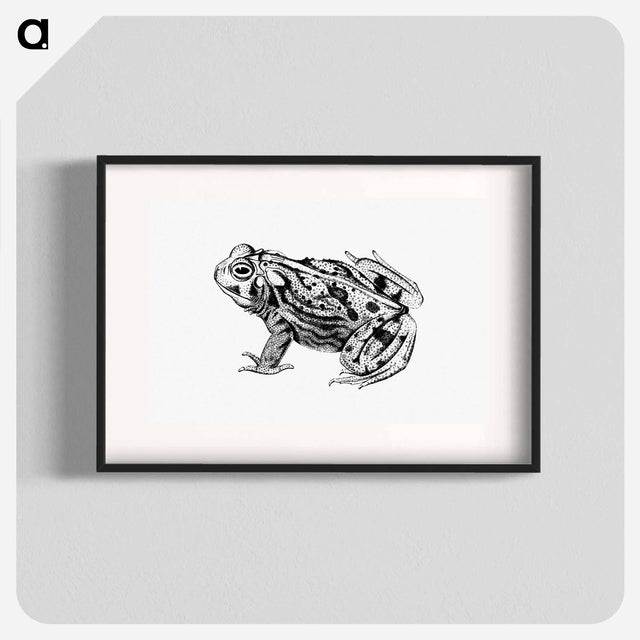 アートポスター-Great Plains Toad
 - 大英図書館 Poster.