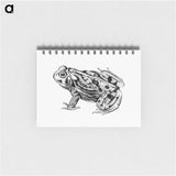アートメモ帳-Great Plains Toad
 - 大英図書館 Memo.