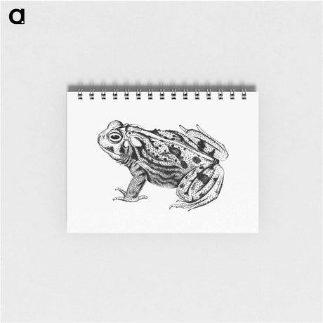 アートメモ帳-Great Plains Toad
 - 大英図書館 Memo.