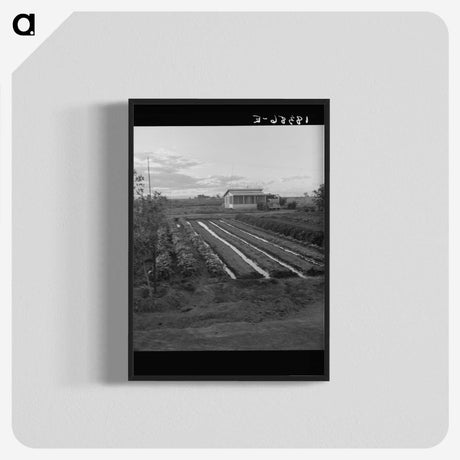 2-51_Dorothea-Lange_blk-crop