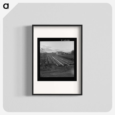 2-51_Dorothea-Lange_blk