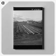 2-51_Dorothea-Lange_canvas