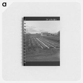 アートメモ帳-Untitled photo - ドロテア ラング Memo.