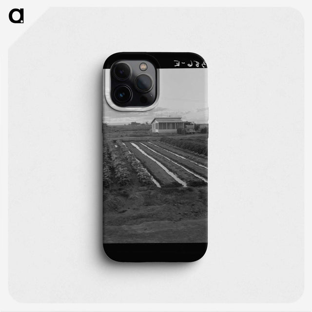 2-51_Dorothea-Lange_phone