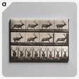 2-51_Eadweard-Muybridge_canvas