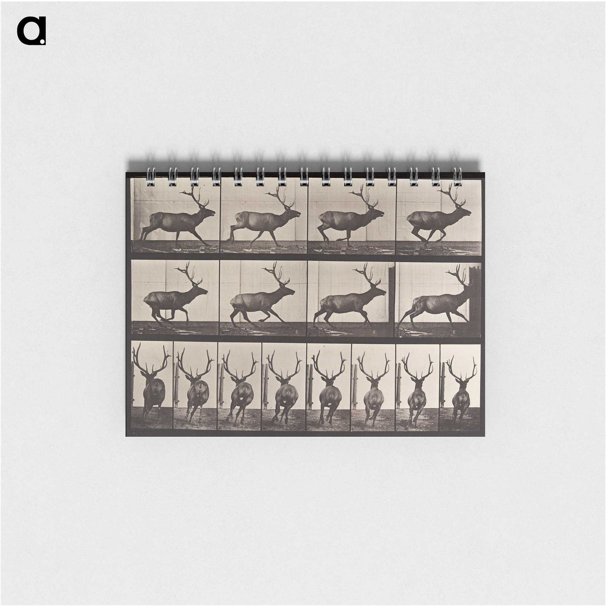 2-51_Eadweard-Muybridge_memo