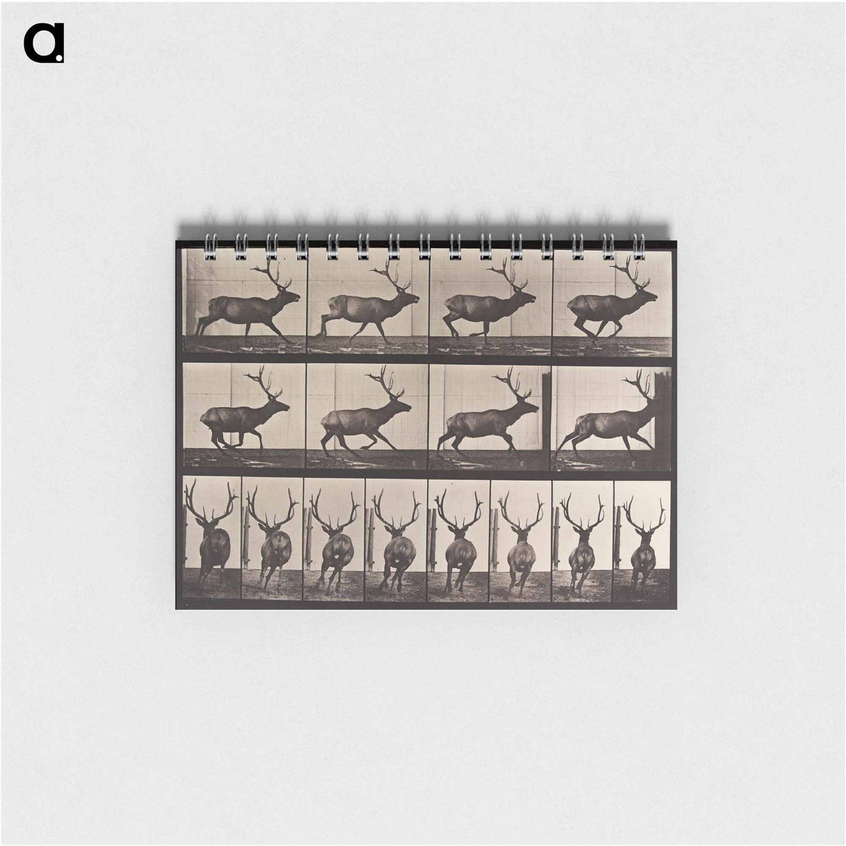 アートメモ帳-Animal Locomotion Plate 695
 - エドワード マイブリッジ Memo.