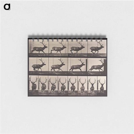 アートメモ帳-Animal Locomotion Plate 695
 - エドワード マイブリッジ Memo.