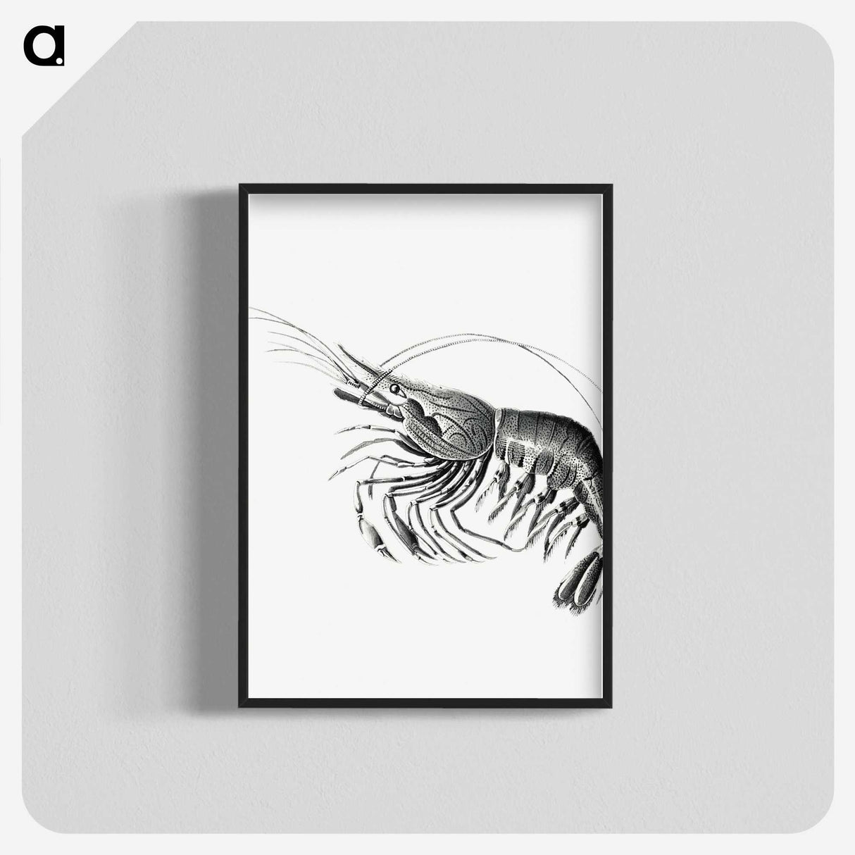 2-51_Ernst-Haeckel_blk-crop