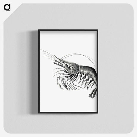 2-51_Ernst-Haeckel_blk-crop
