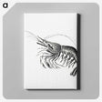 2-51_Ernst-Haeckel_canvas