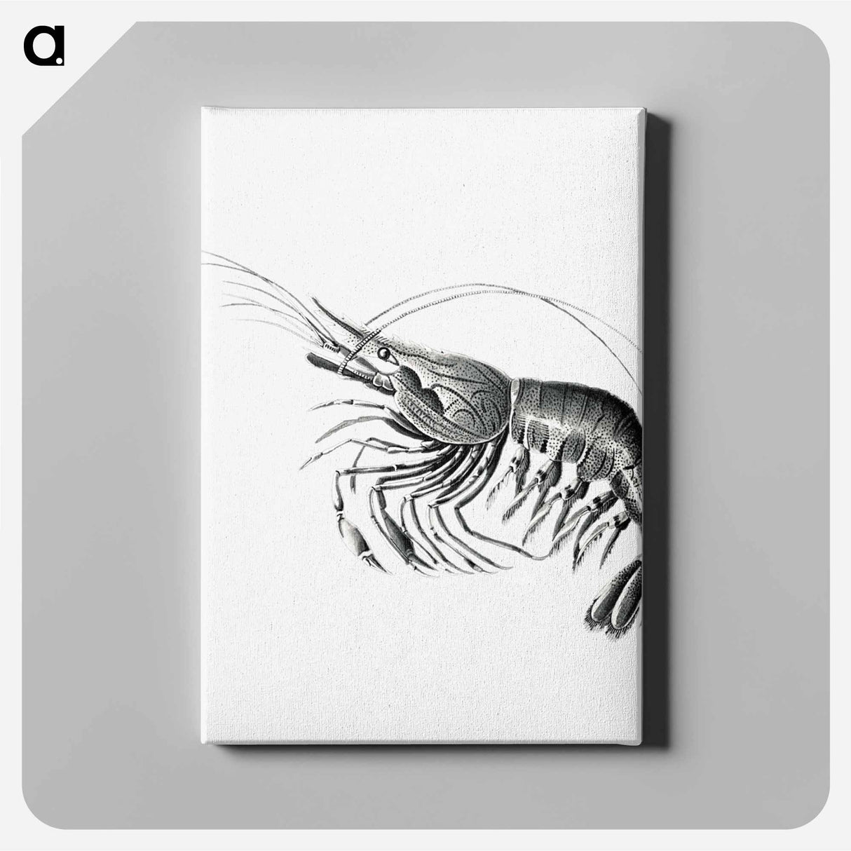 Vintage prawn marine life illustration - エルンスト ヘッケル Canvas.