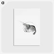 アートポストカード-Vintage prawn marine life illustration - エルンスト ヘッケル Postcard.