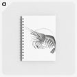 2-51_Ernst-Haeckel_memo