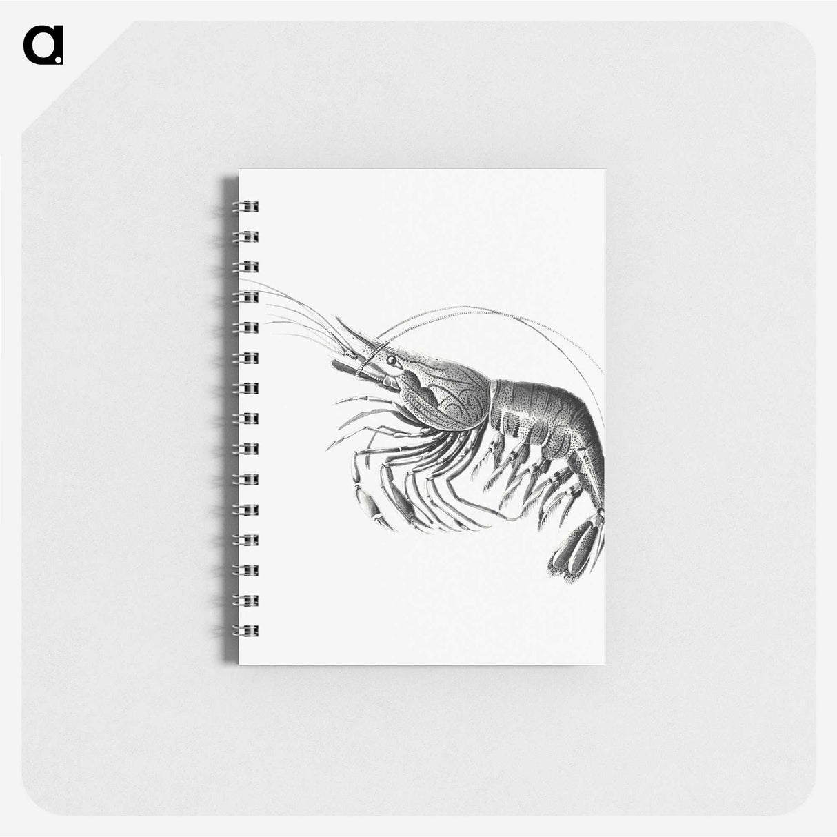 2-51_Ernst-Haeckel_memo