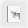 アートメモ帳-Vintage prawn marine life illustration - エルンスト ヘッケル Memo.