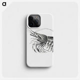 2-51_Ernst-Haeckel_phone