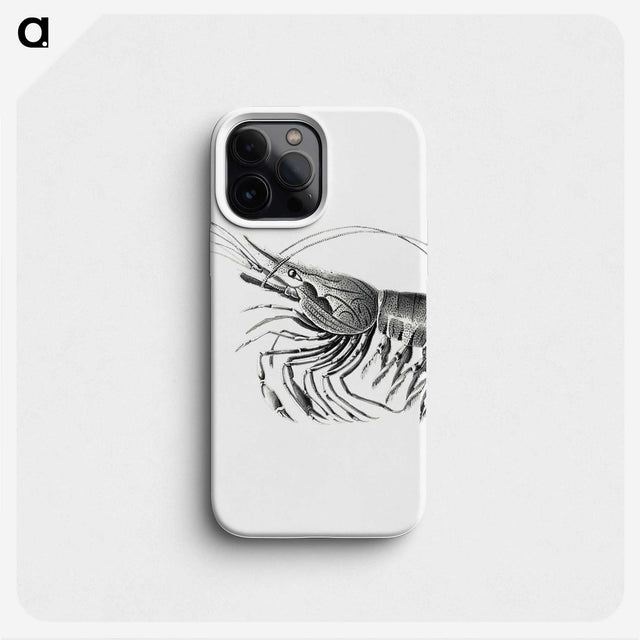 2-51_Ernst-Haeckel_phone